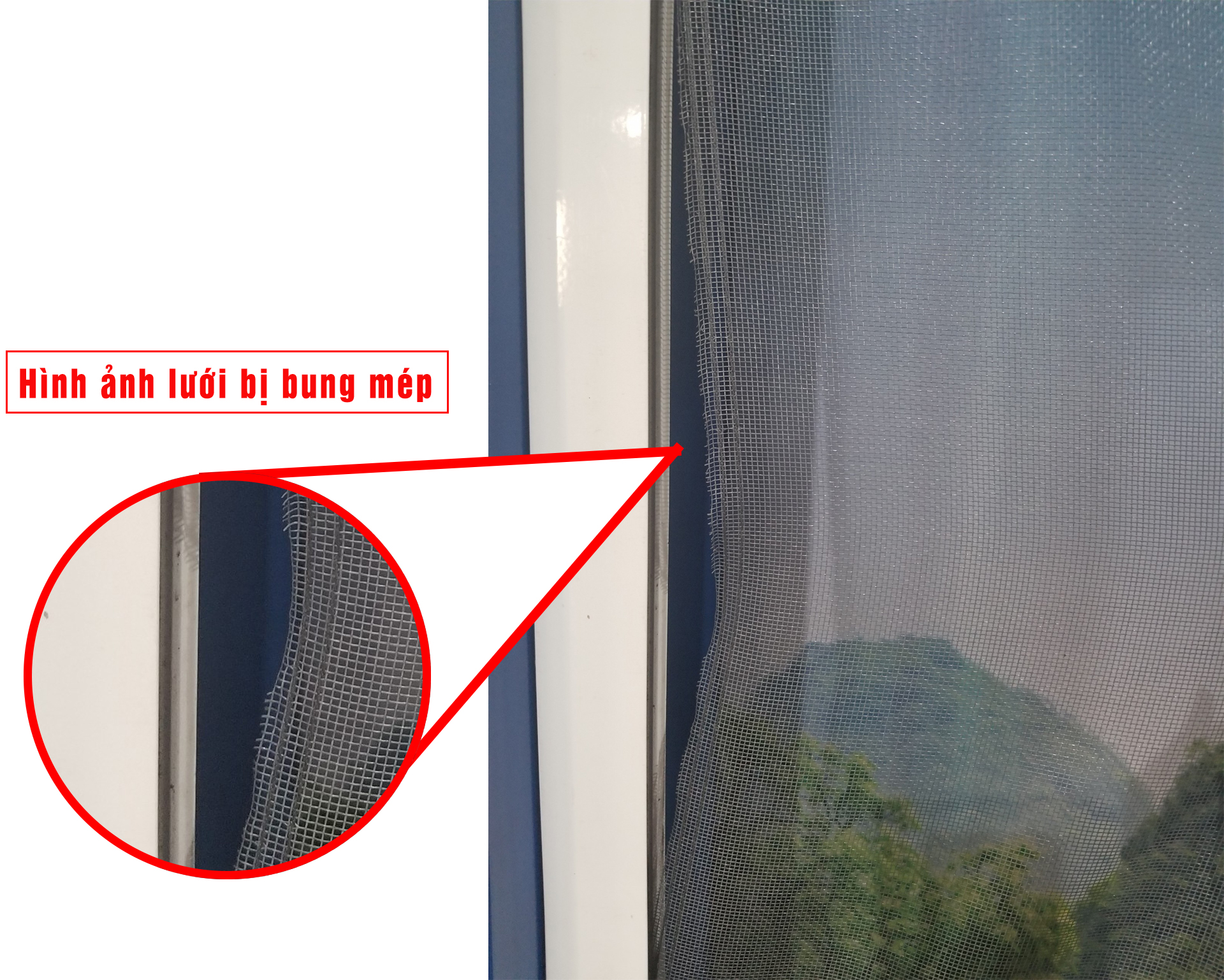 không có dải PET may mép của cửa lưới chống muỗi tự cuốn ngang