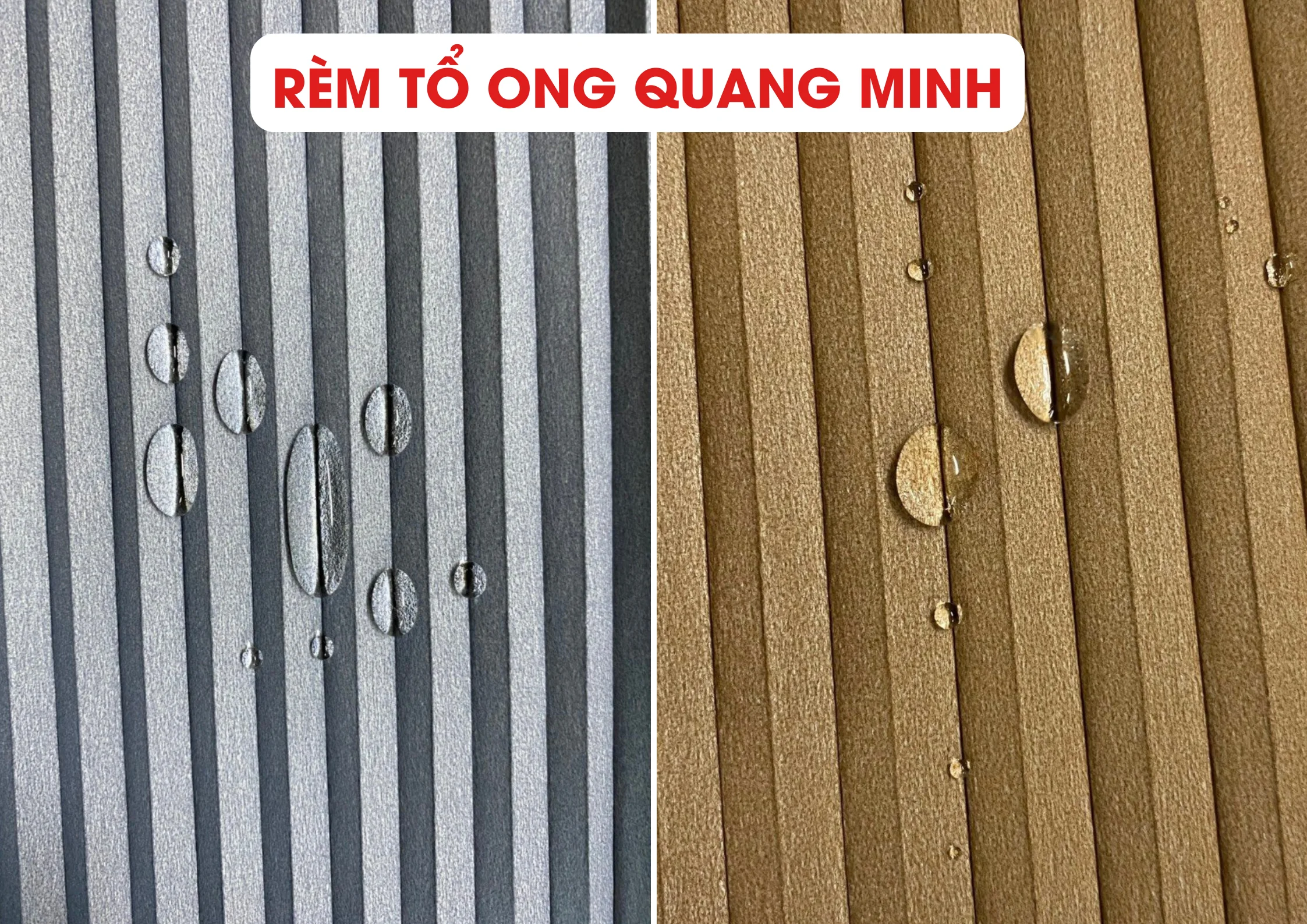 RC388M20TE1BB9420ONG20QUANG20MINH
