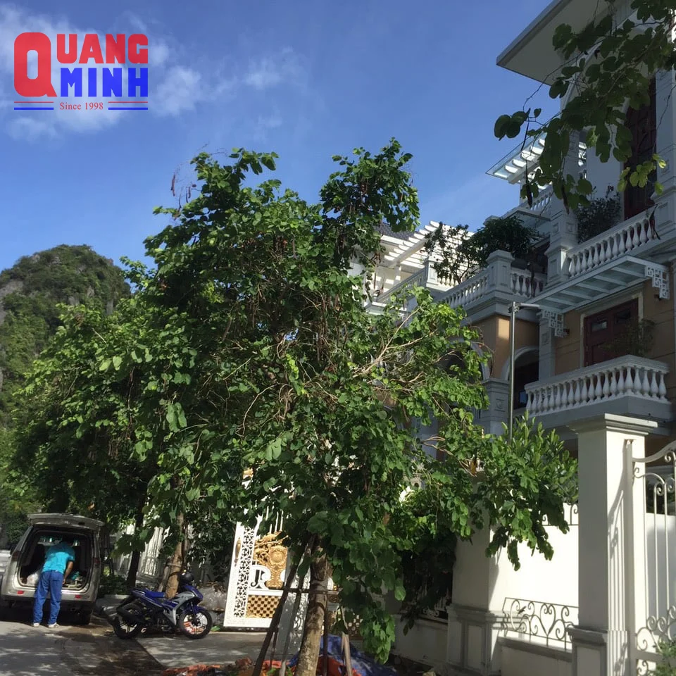 cửa lưới chống muỗi quảng ninh tại KDT Monbay