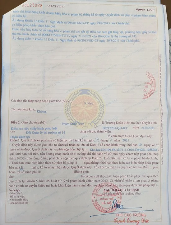 cửa lưới chống muỗi giả