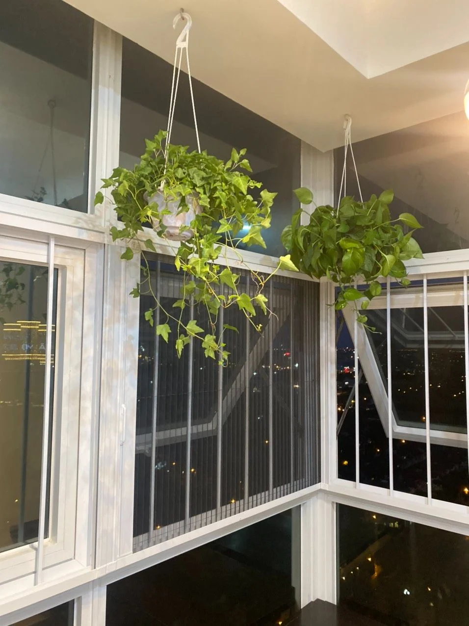 Cửa lưới chống muỗi Bình Dương