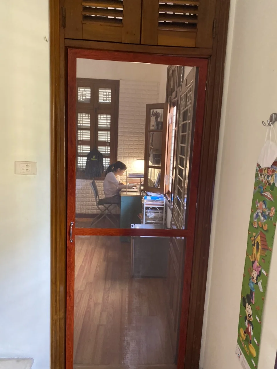 Cửa lưới chống muỗi Vĩnh Long